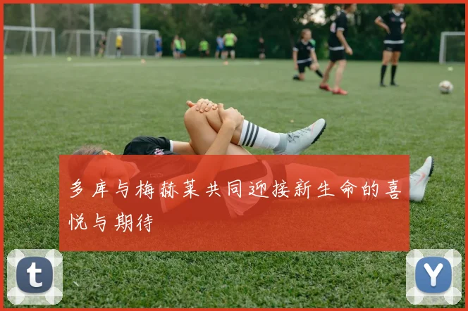 多库与梅赫莱共同迎接新生命的喜悦与期待